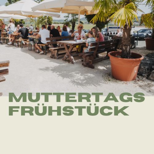 media/yootheme/cache/yooessentials/ig media album 17882620989406026.jpg