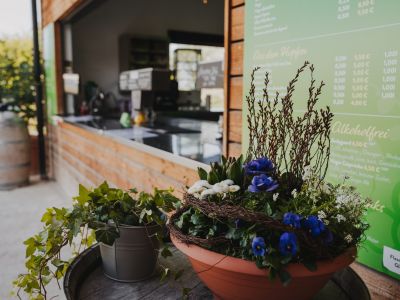 galerie home weingarten 09