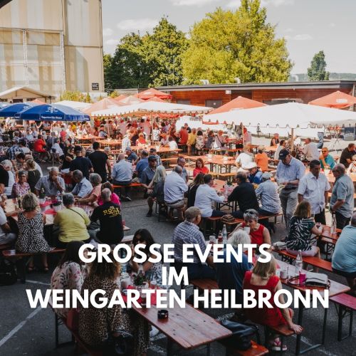 templates/yootheme/cache/yooessentials/ig media album 17913400551139942.jpg